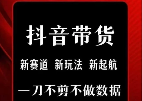 图片[1]-抖音短视频一刀不剪带货，不剪辑，不直播，每天发个视频，等着出单获取带货佣金-E六资源