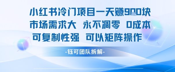 小红书冷门项目一天收益9张，市场需求大，0成本，可复制性强可以矩阵操作-E六资源