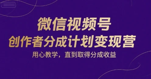 图片[1]-微信视频号创作者分成计划变现营，用心教学，直到取得分成收益-E六资源