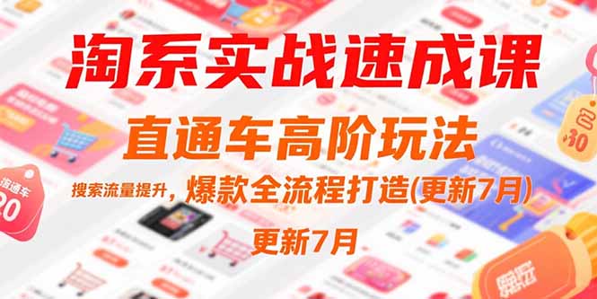 淘系实战速成课，直通车高阶玩法，搜索流量提升，爆款全流程打造(更新7月)-E六资源