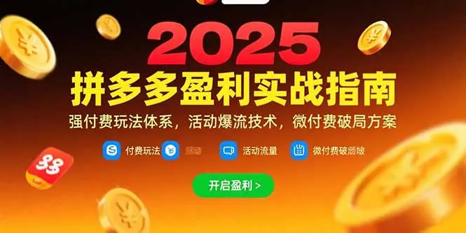 图片[1]-拼多多盈利实战指南，强付费玩法，活动爆流技术，微付费破局方案(更新7月)-E六资源