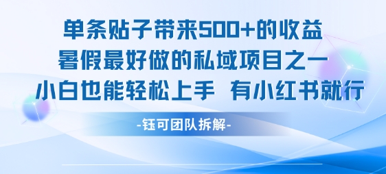 单条贴子带来5张的收益，暑假最好做的私域项目之一，小白也能轻松上手，有小红书就行-E六资源