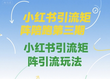 小红书引流矩阵陪跑第三期，小红书引流矩阵引流玩法-E六资源