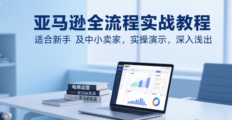 亚马逊全流程实战教程，适合新手及中小卖家，实操演示，深入浅出-E六资源