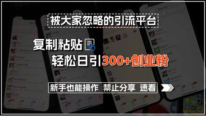 被大家忽略的引流平台，复制粘贴轻松日引300+创业粉，新手也能操作，禁…-E六资源