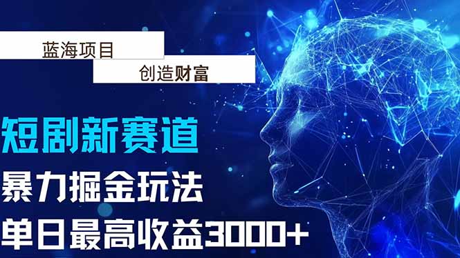 抖音新赛道，暴力掘金玩法，单日收益最高3000+-E六资源