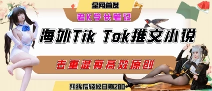 图片[1]-海外tiktok小说推文暴力项目，高停留率，高转化率，上手后一天搞顿饭钱不是问题-E六资源