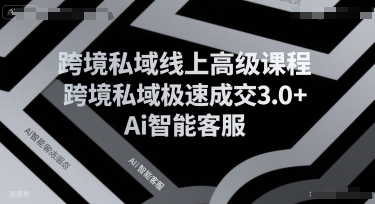 跨境私域线上高级课程，跨境私域极速成交3.0+Ai智能客服-E六资源