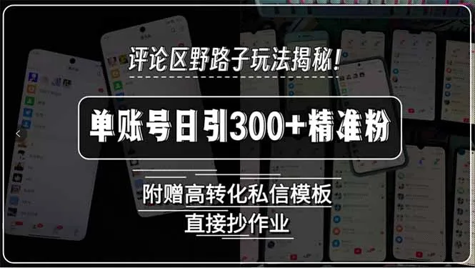 图片[1]-评论区野路子玩法揭秘！单账号日引300+精准粉，附赠高转化私信模板，直…-E六资源