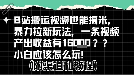 图片[1]-b站掘金计划？搬运视频也能挣拉新的收益，小白应该怎么玩！-E六资源