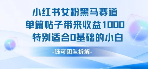 图片[1]-小红书女粉黑马赛道单篇帖子带来收益1k+，特别适合0基础的小白-E六资源