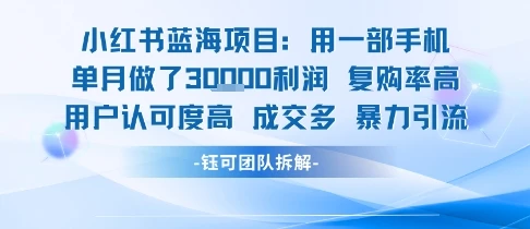 图片[1]-小红书蓝海项目，一部手机单月做了3W利润，小白也能月入过1W用户认可度高成交多-E六资源