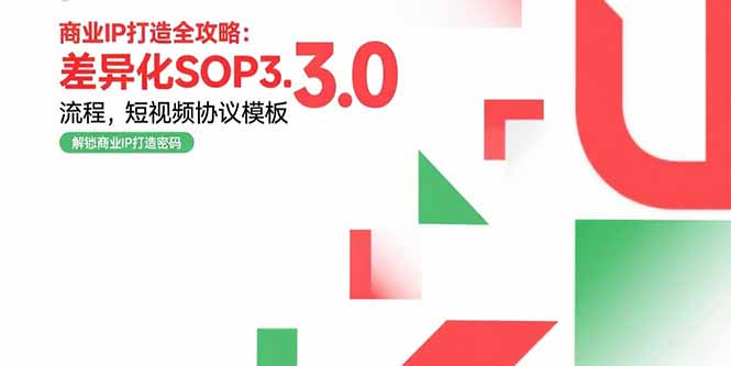 商业IP打造全攻略：差异化SOP3.0流程，短视频协议模板，婚恋项目实战案例-E六资源
