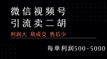 视频号卖二胡教程，利润大 易成交 售后少，一单利润5张+-E六资源