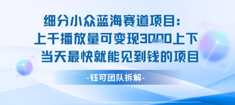 小众蓝海赛道项目：当天变现1k+适合新手操作 +适合长期玩-E六资源