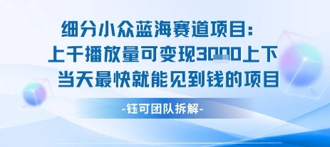 图片[1]-小众蓝海赛道项目：当天变现1k+适合新手操作 +适合长期玩-E六资源