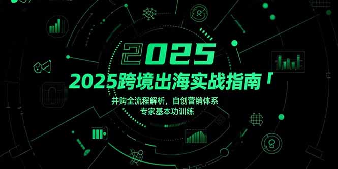 2025跨境出海实战指南，并购全流程解析，自创营销体系，专家基本功训练-E六资源