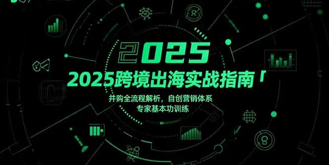 图片[1]-2025跨境出海实战指南，并购全流程解析，自创营销体系，专家基本功训练-E六资源