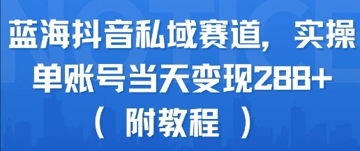 图片[1]-蓝海抖音私域赛道，实操单账号当天变现288+(附教程)-E六资源