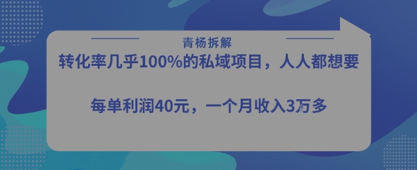 转化率最高的私域项目，每单利润40-50米，月入过1w-E六资源