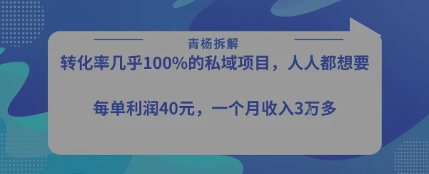 图片[1]-转化率最高的私域项目，每单利润40-50米，月入过1w-E六资源