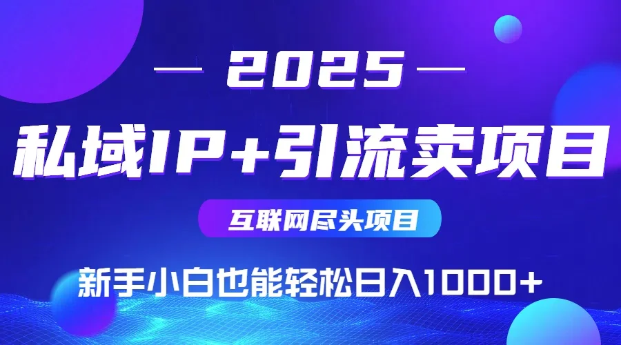 图片[1]-2025网创尽头项目，私域IP+引流，新手小白也能在家日入1000+-E六资源