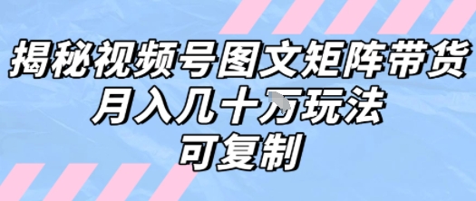 解密视频号图文矩阵带货，月入几个W的打法，可复制-E六资源