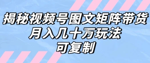 图片[1]-解密视频号图文矩阵带货，月入几个W的打法，可复制-E六资源
