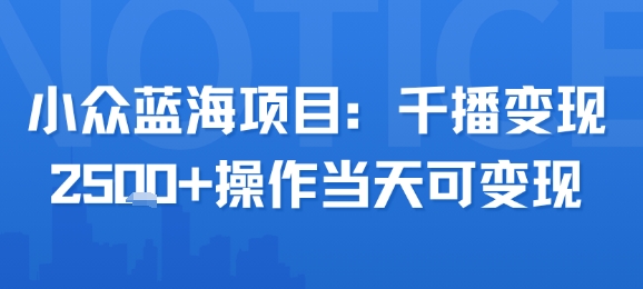 小众蓝海项目，千播变现2.5k+操作当天可变现-E六资源