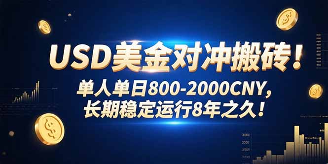 USD美金对冲搬砖!单人单日800-2000CNY，长期稳定运行8年之久!-E六资源