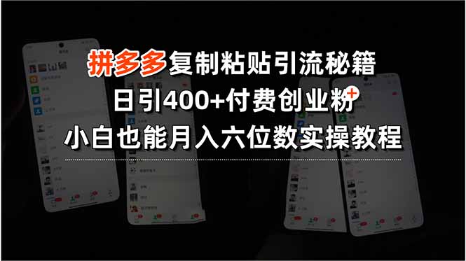 拼多多复制粘贴引流秘籍，日引400+付费创业粉，小白也能月入六位数实操…-E六资源