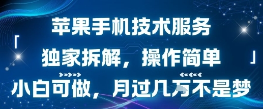 苹果手机技术服务，独家拆解，操作简单，小白可做，月过1W不是梦-E六资源