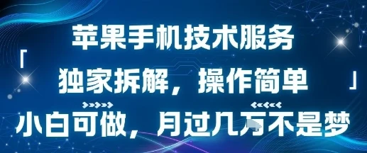 图片[1]-苹果手机技术服务，独家拆解，操作简单，小白可做，月过1W不是梦-E六资源