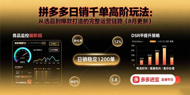 拼多多日销千单高阶玩法：从选品到爆款打造的完整运营链路（8月更新）-E六资源